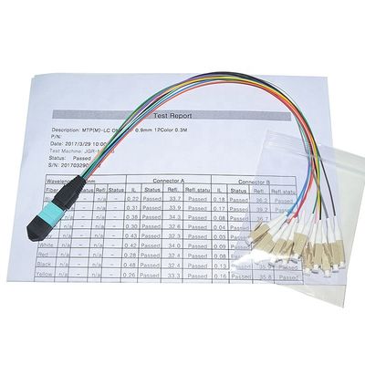 주문 제작된 섬유 케이블 조립체 12 핵심 MPO 말레 LC 섬유 0.9 밀리미터 팬아웃